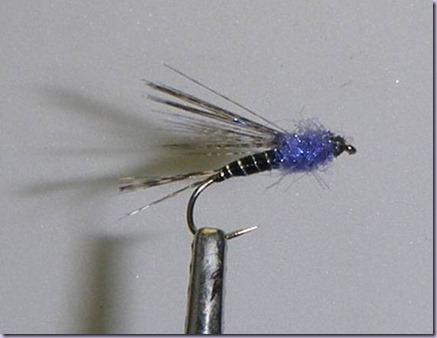clip_image026 clip_image026