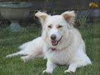 Lily01.JPG