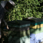 photoIMG_3396.jpg