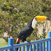 Domingo na AABB060.JPG