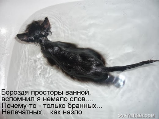 4b5616794b%25255B4%25255D.jpg