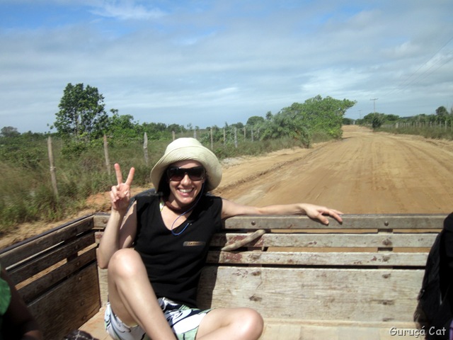 [IMG_06127.jpg]