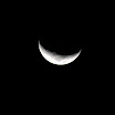 IMG_1154.jpg