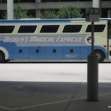 Disney Vacation