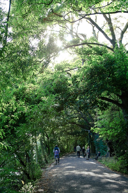 Richmondwalk 3
