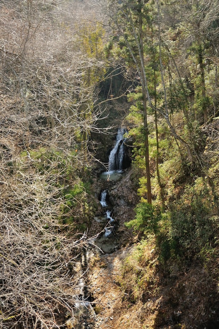 垂松瀑 13032603.jpg