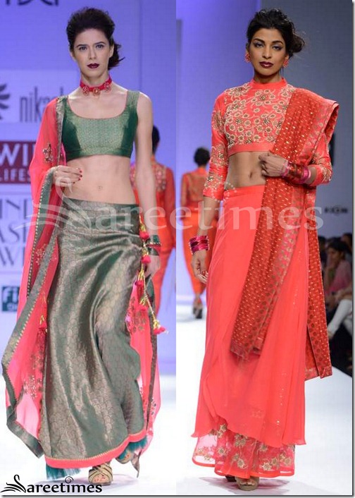 Nikasha_Sarees_WIFW_Autumn_Winter_2013(2)