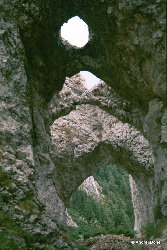 00328.jpg 00328.jpg