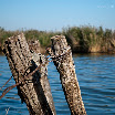 DSC_5971.jpg