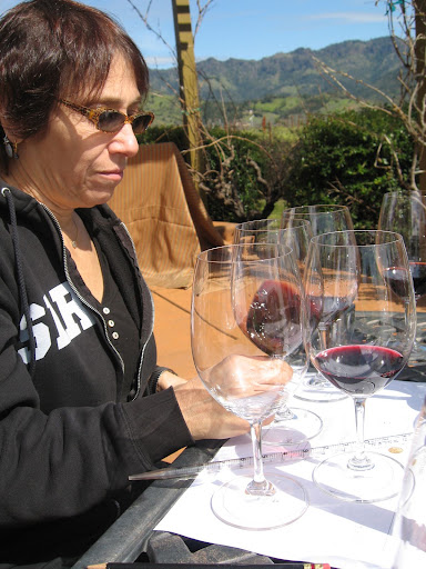 Sandy started off by tasting each wine to get familiar with each individual taste.