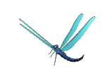dragfly
