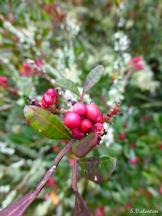 [P1140548%255B2%255D.jpg]