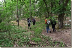 départ forêt de Nemours - Copie