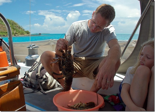 crayfish crayfish