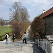 DSC00267.JPG