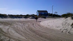 Cycle NC 2011 - Solo Wild Horse near Corolla, NC Beaches