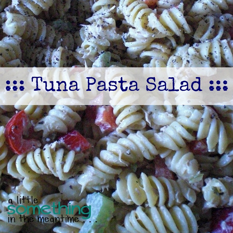[Tuna-Pasta-Salad-Square5.jpg]