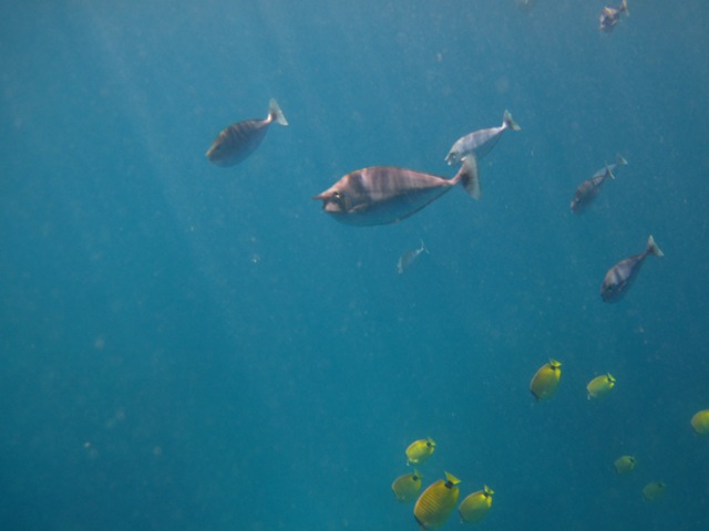 [IMG_3511%255B3%255D.jpg]