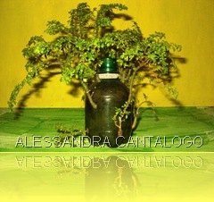 ARTE COM VIDA BRASIL ARTE COM VIDA BRASIL