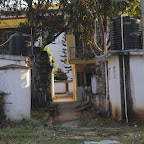 DSC_8215.jpg