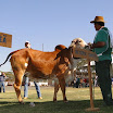 superleite2011_dia1507_119.JPG