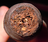 DSCN1373.JPG