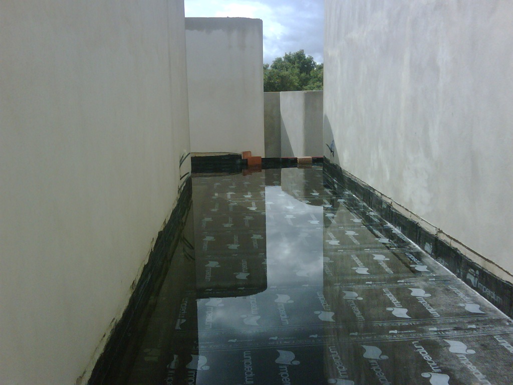 [IMG00768-20111024-1212%255B2%255D.jpg]