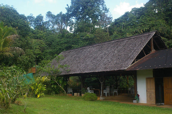 Camp Patawa, Montagne de Kaw (Guyane). 16 novembre 2011. Photo : J.-M. Gayman