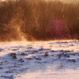 'DSC08320.JPG'