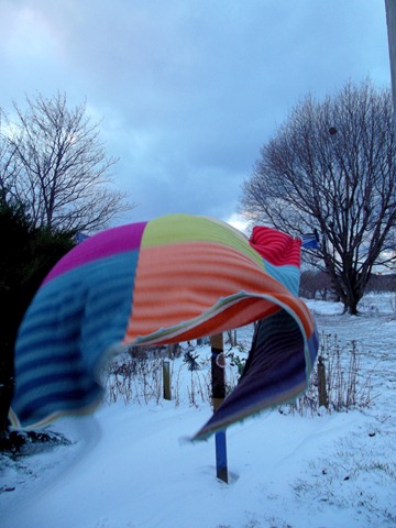 [DSCF1737a%255B3%255D.jpg]