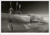 Honorable Mention - Tim Stenning for "Sands #1"