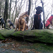 gruppenbild_amica_merlin_wegschauen_1.jpg