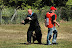 Keuring mei 2010 peter,jan 044.jpg