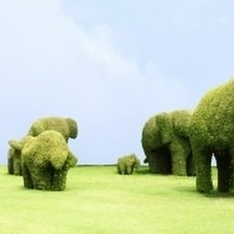 Shape and Structure: Tips for Constructing a Strong Blog Post