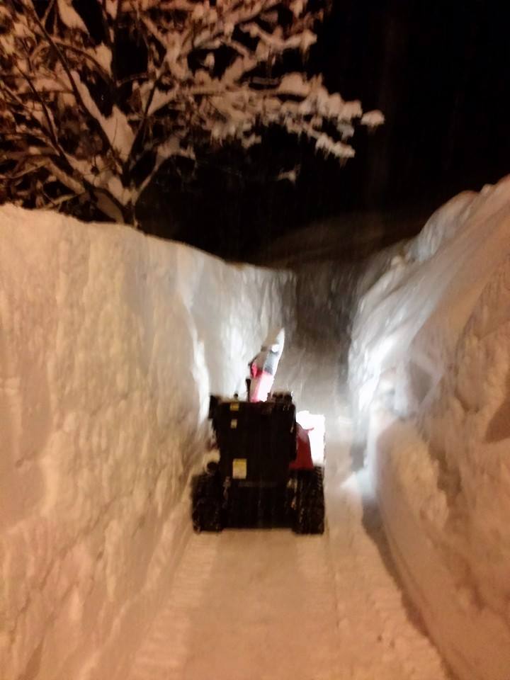 1622715 649840208405409 1850509193 n