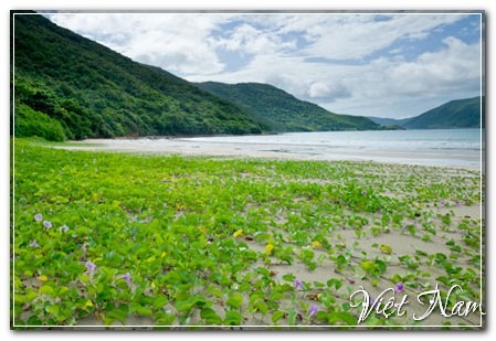 Cảnh Đẹp Việt Nam - Côn Đảo - thiên đường nghỉ dưỡng và khám phá thiên nhiên