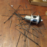 image3.jpg