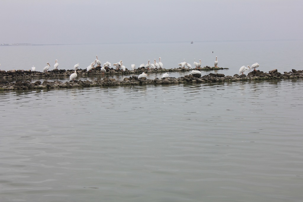 [IMG_1901%255B4%255D.jpg]