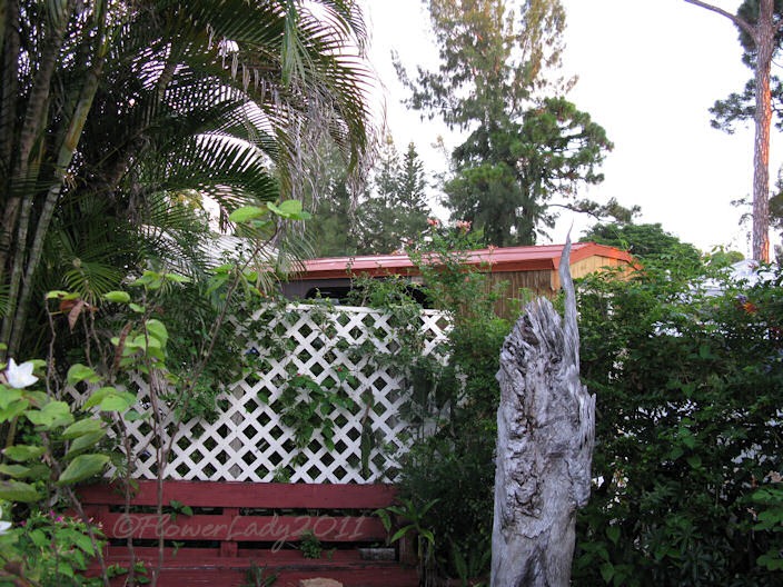 [10-01-gypsy-shed%255B4%255D.jpg]