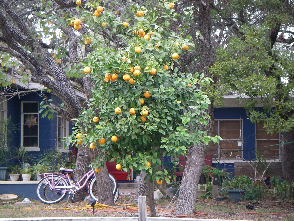 [IMGP0140%255B3%255D.jpg]