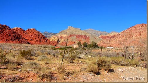 calico_092 calico_092