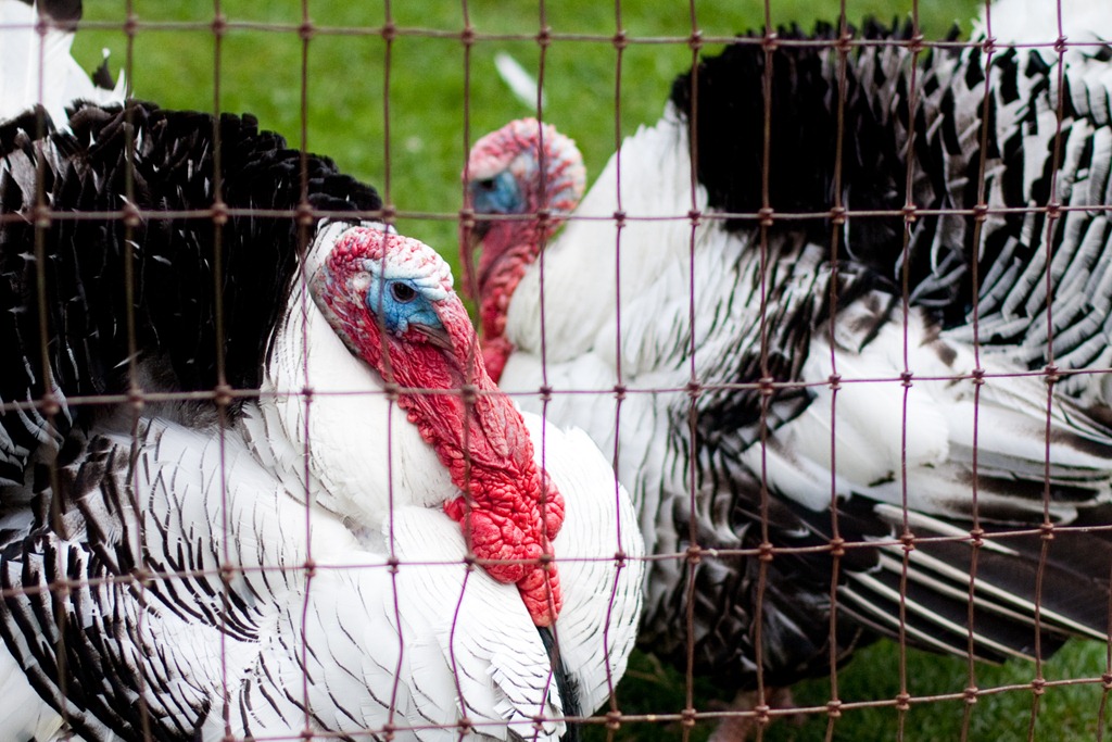 [20120728-IMG_75184.jpg]