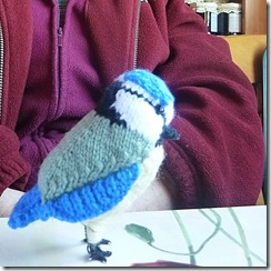 cal knitted bluetit
