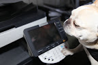 OK Francesca, let's get busy with our project.  I'll turn it on.