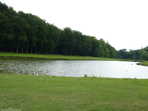 P1020484.JPG