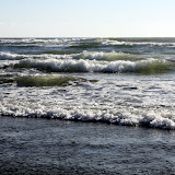 IMG_8448.JPG