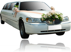 wedding limousine service white