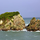 Seal Colony -- Cape Foulwind, New Zealand