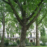 Ennismore Gardens