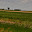 DSC_0335.jpg